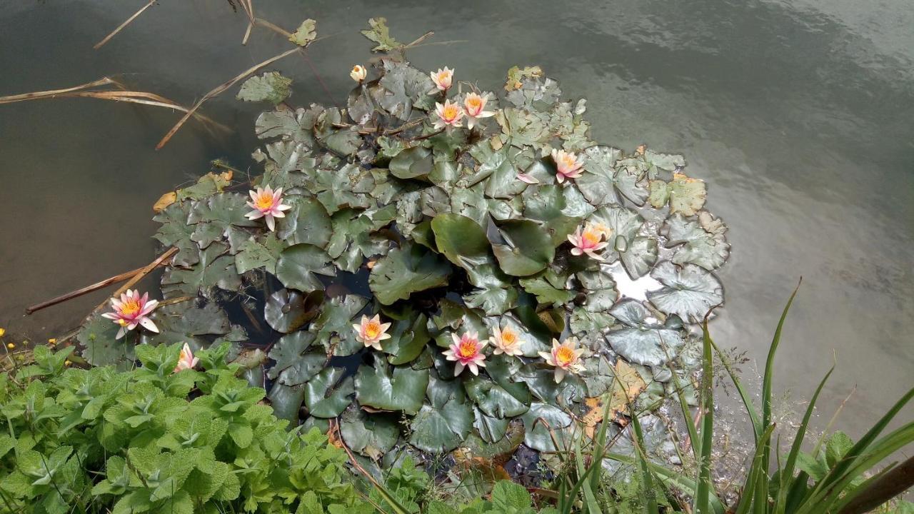 Chambre Coin Nature Fromelles Bagian luar foto
